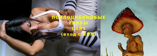 сатива Верхнеуральск